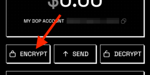 DOPウォレットで通貨を暗号化するための[ENCRYPT]ボタンの画像